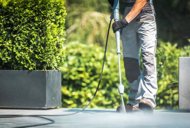 Best Sidewalk and Walkway Cleaning  in Minonk, IL